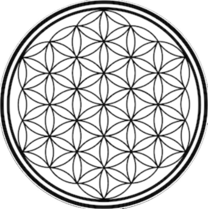Flower Of Life - Guest House 樂蜀 外观 照片